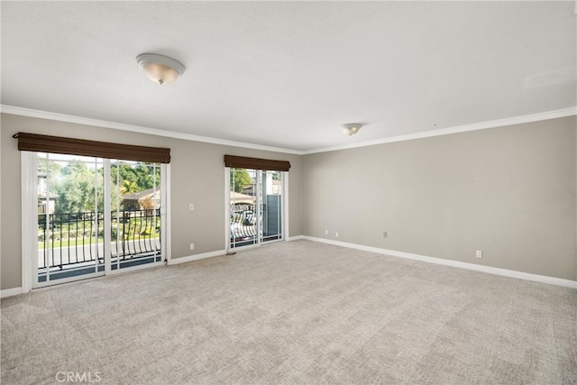 empty room featuring carpet floors and ornamental molding