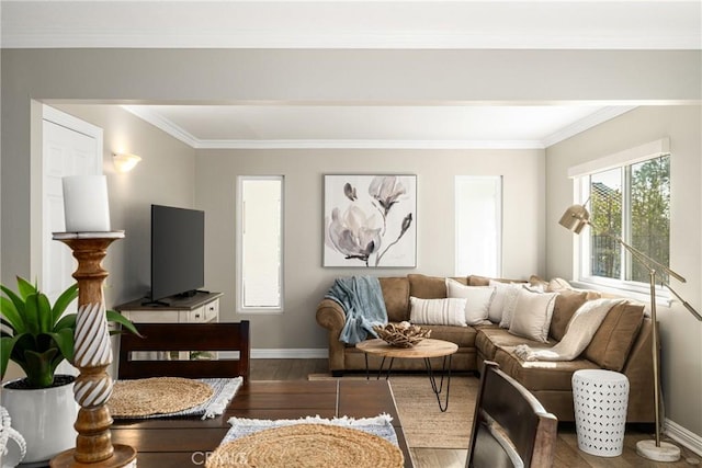 living room with crown molding and wood-type flooring