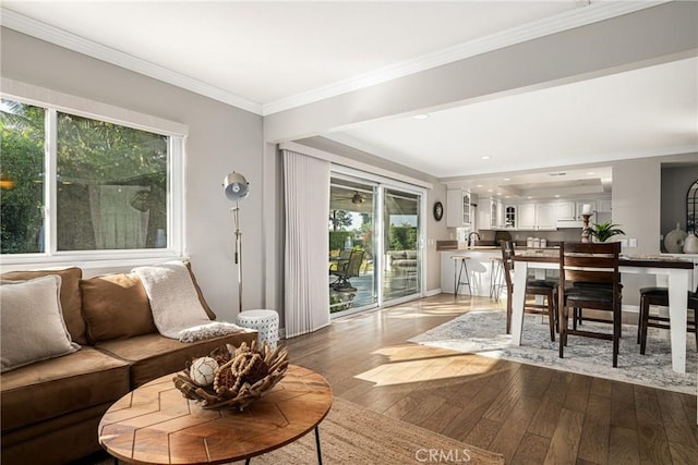 living room with hardwood / wood-style floors, ornamental molding, a healthy amount of sunlight, and sink