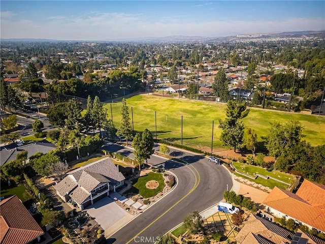 bird's eye view