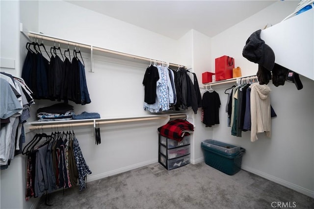 spacious closet with carpet