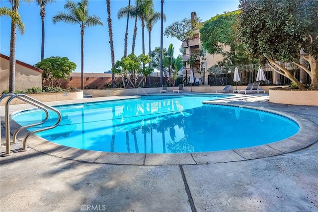 view of swimming pool featuring a patio area