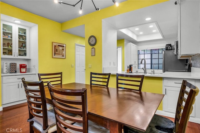 dining room with a raised ceiling, dark wood-type flooring, and sink