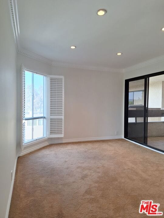 carpeted empty room with crown molding