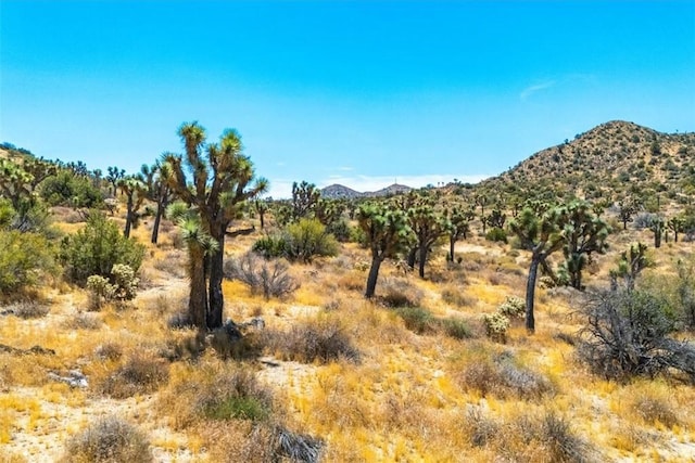 Listing photo 2 for 8553 Kickapoo Trl, Yucca Valley CA 92284