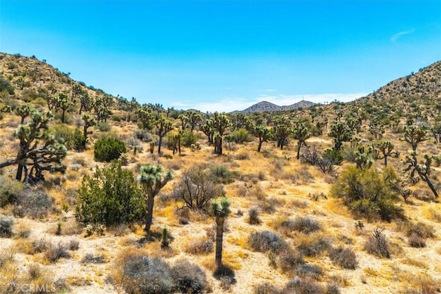 Listing photo 3 for 8553 Kickapoo Trl, Yucca Valley CA 92284