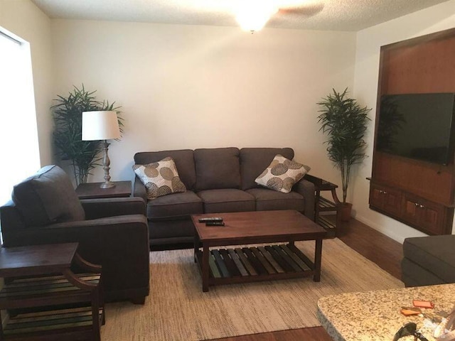 living room with hardwood / wood-style floors