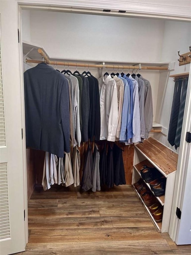 view of closet