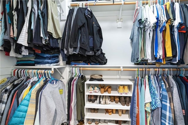 view of spacious closet