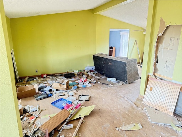 miscellaneous room with ceiling fan and lofted ceiling