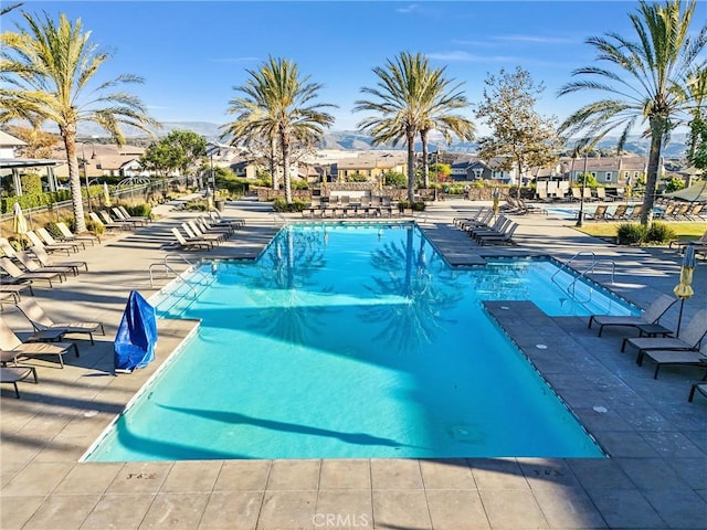 view of swimming pool featuring a patio area