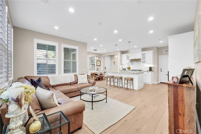 living room featuring light hardwood / wood-style floors