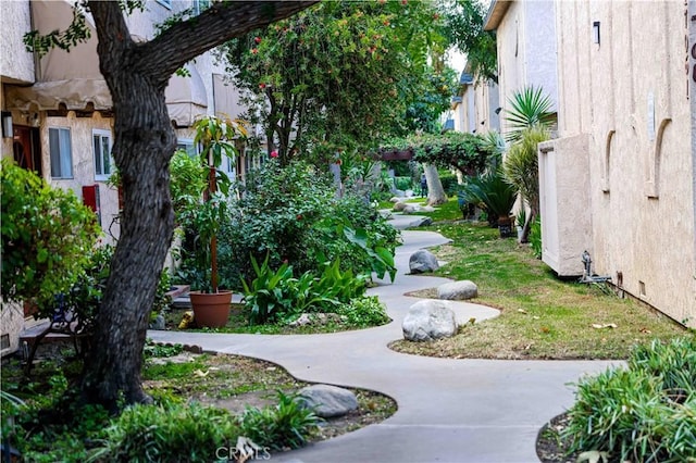 view of community featuring a lawn