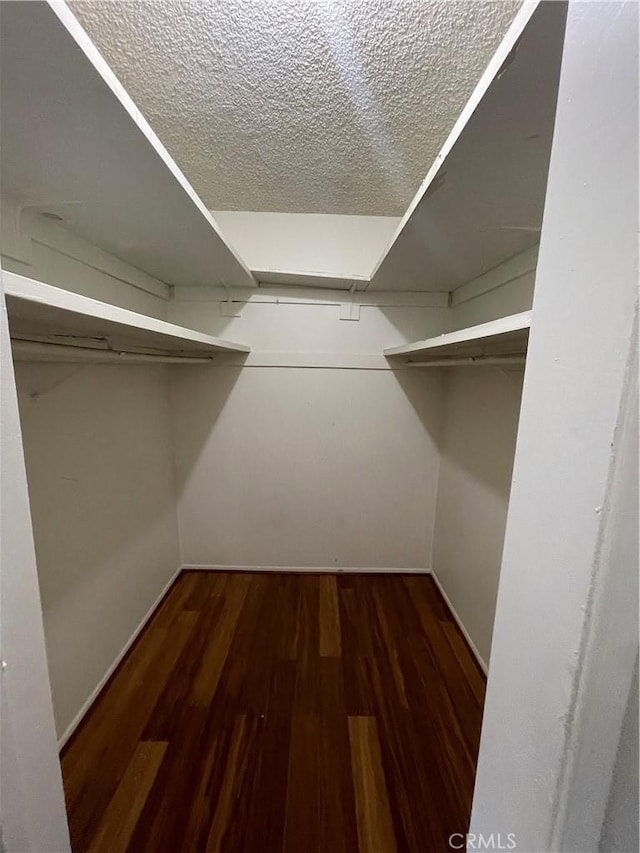 spacious closet featuring dark hardwood / wood-style flooring