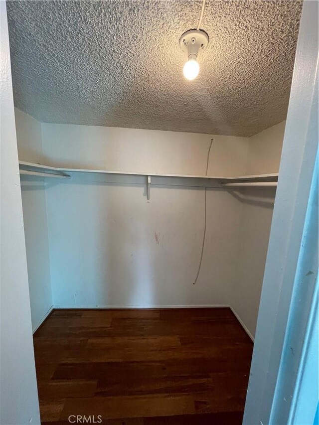 walk in closet featuring dark hardwood / wood-style floors