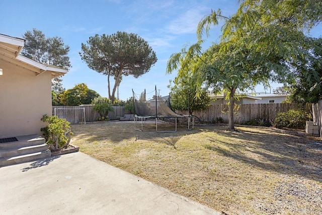 view of yard with a patio and a trampoline