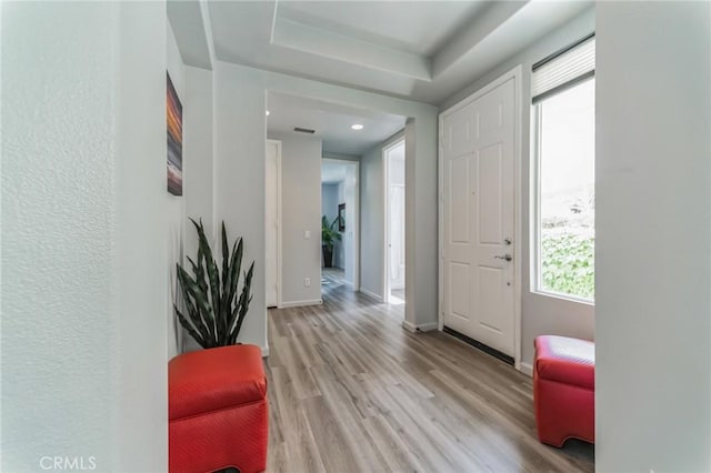 entrance foyer featuring light hardwood / wood-style flooring