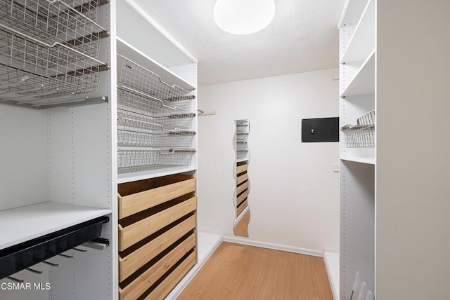 spacious closet with wood-type flooring