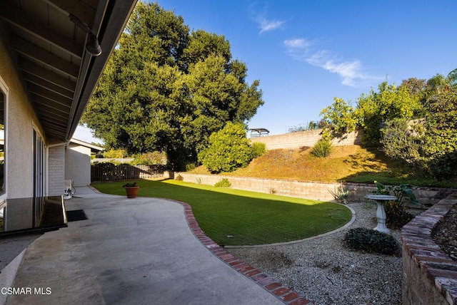 view of yard with a patio area