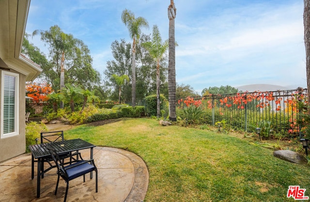 view of yard with a patio