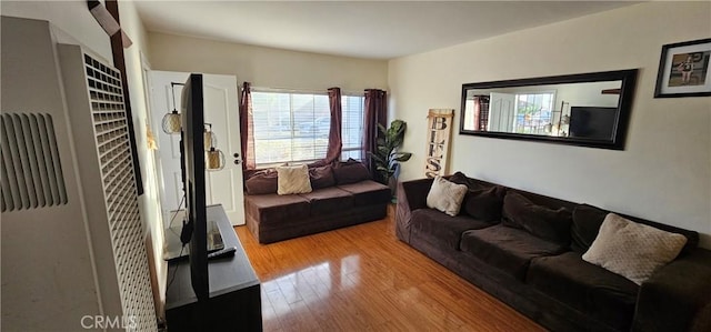 living room with wood-type flooring