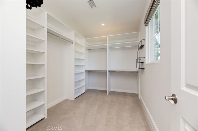 spacious closet with light colored carpet