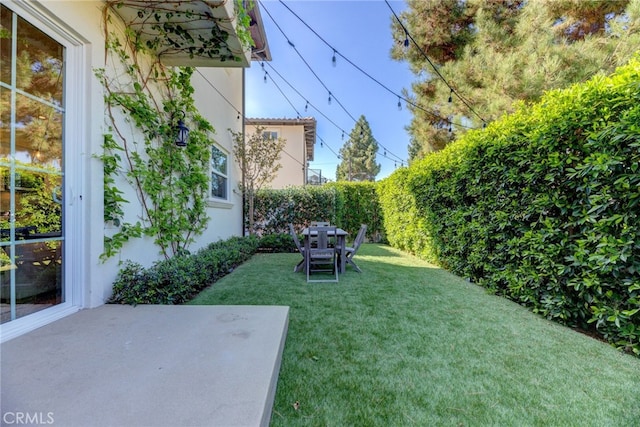 view of yard featuring a patio