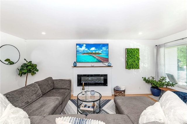 living room featuring light hardwood / wood-style flooring