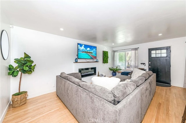 living room with light hardwood / wood-style flooring