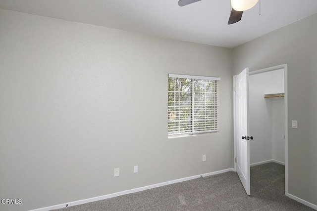 unfurnished bedroom with carpet flooring, a walk in closet, ceiling fan, and a closet