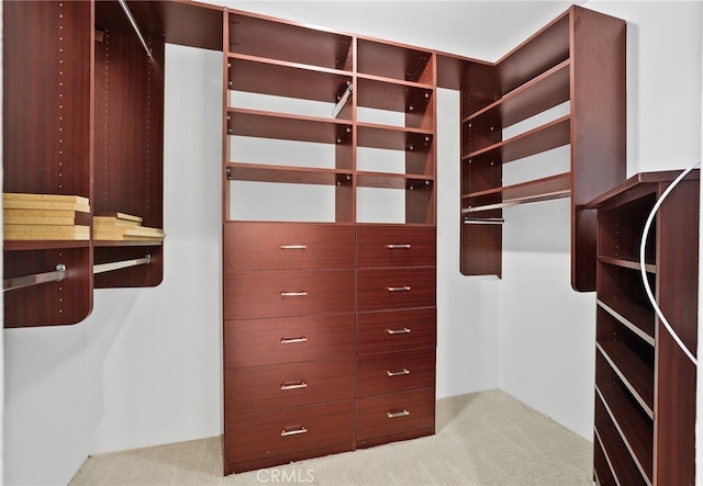 spacious closet with light colored carpet