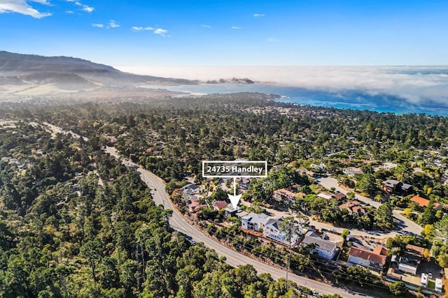 birds eye view of property featuring a mountain view