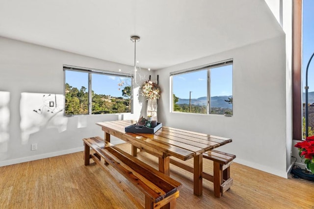 dining space featuring light wood-type flooring, a wealth of natural light, and a mountain view