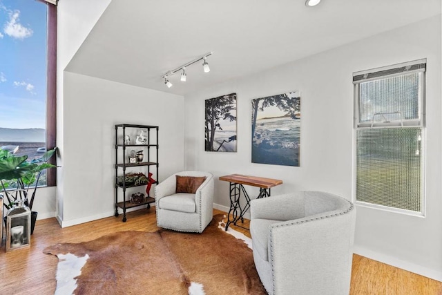 living area featuring light hardwood / wood-style floors