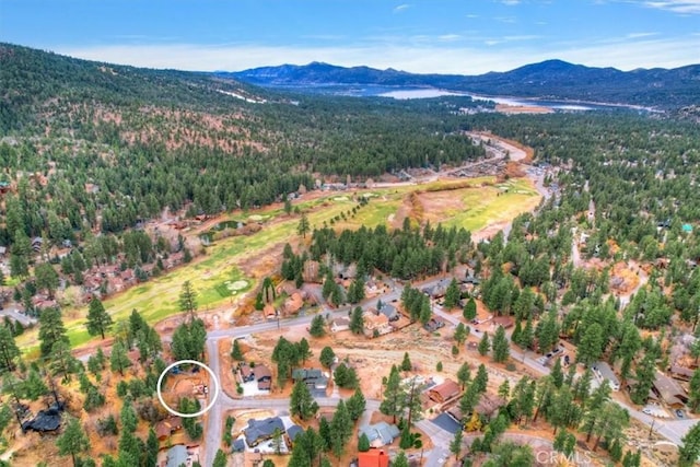 aerial view with a mountain view