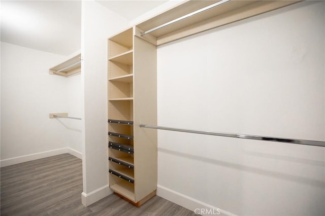 spacious closet with wood-type flooring