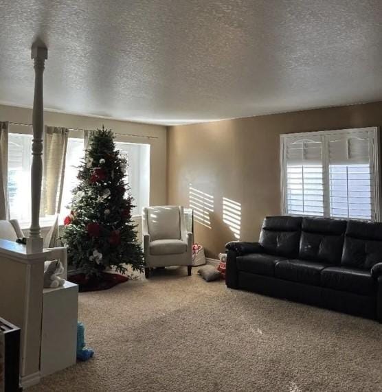 living room featuring carpet flooring, a wealth of natural light, and a textured ceiling