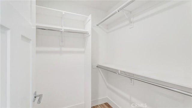 spacious closet with wood-type flooring