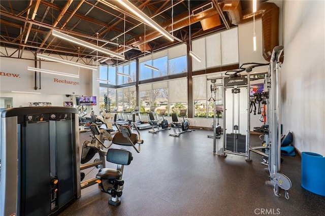 workout area with a towering ceiling