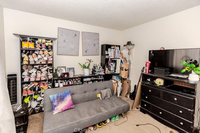 interior space featuring a textured ceiling and carpet floors