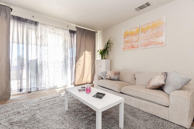 carpeted living room with plenty of natural light