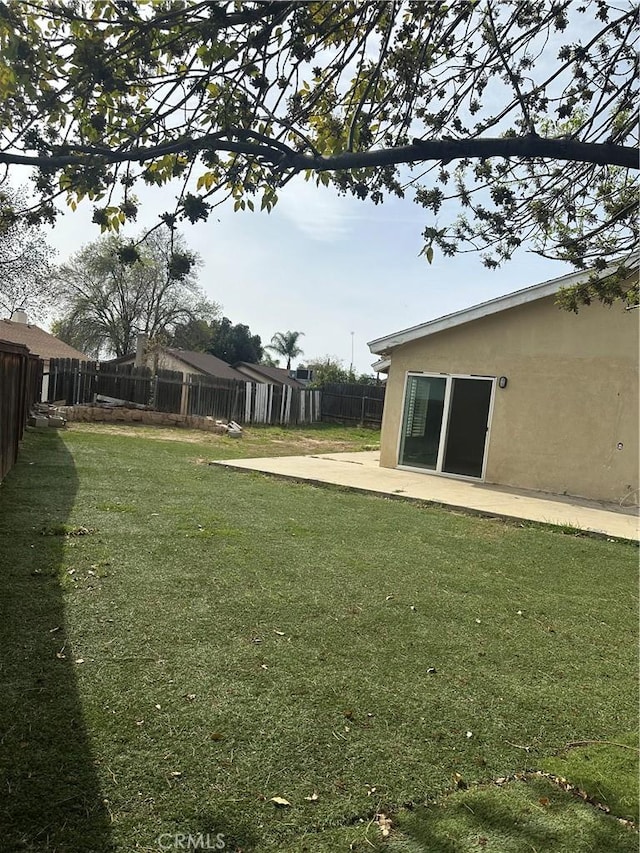 view of yard featuring a patio area