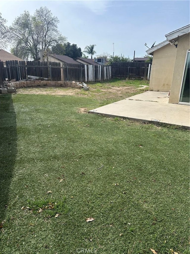 view of yard featuring a patio area