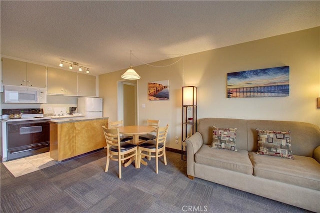 carpeted living room featuring a textured ceiling and track lighting