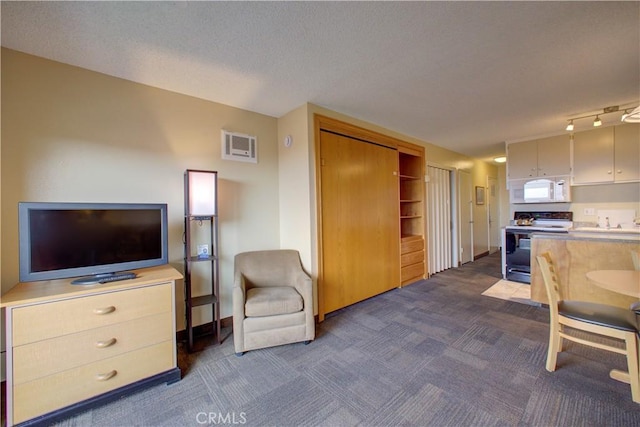 living room with rail lighting, a textured ceiling, and dark colored carpet