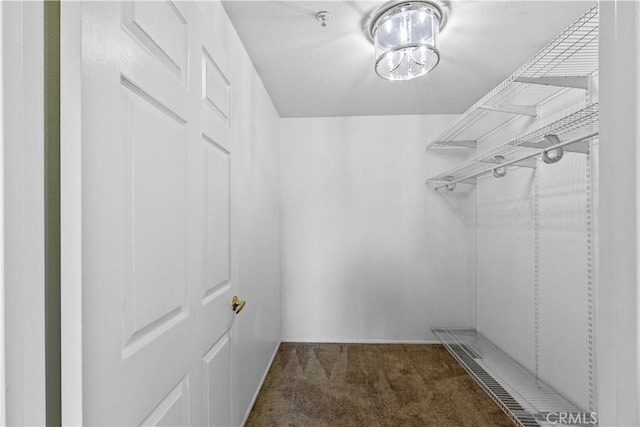 walk in closet featuring dark carpet