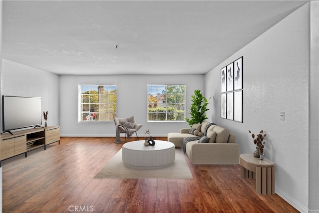 living room featuring hardwood / wood-style flooring