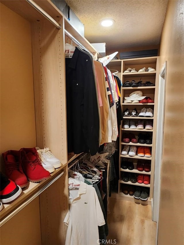 spacious closet with hardwood / wood-style floors