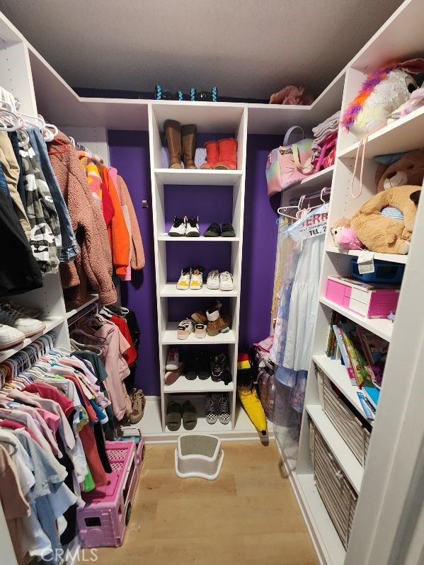 spacious closet featuring wood-type flooring