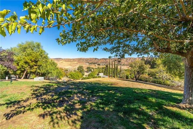 view of yard featuring a mountain view